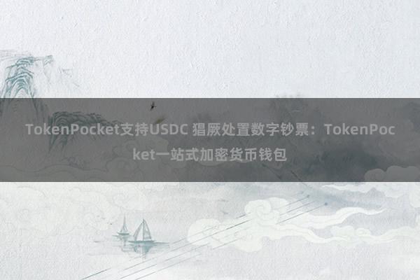 TokenPocket支持USDC 猖厥处置数字钞票：TokenPocket一站式加密货币钱包