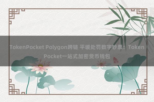 TokenPocket Polygon跨链 平缓处罚数字钞票：TokenPocket一站式加密货币钱包